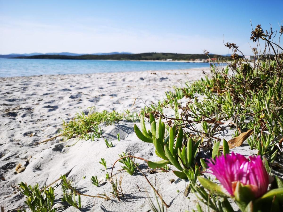 Insardinia House Trilocale A 200Mt Dalla Spiaggia Olbia Buitenkant foto